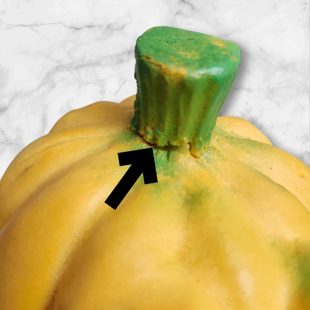 Vintage Halloween Squish Head